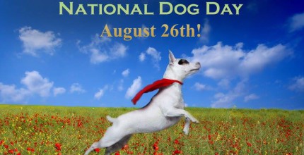 nationaldogday