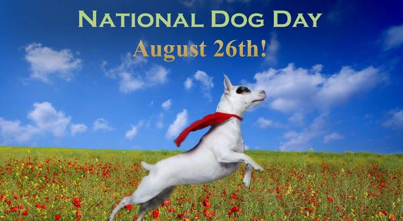 nationaldogday